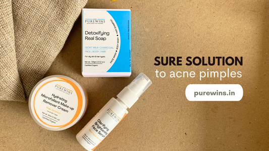 Your Acne Can Surely go off with PureWins