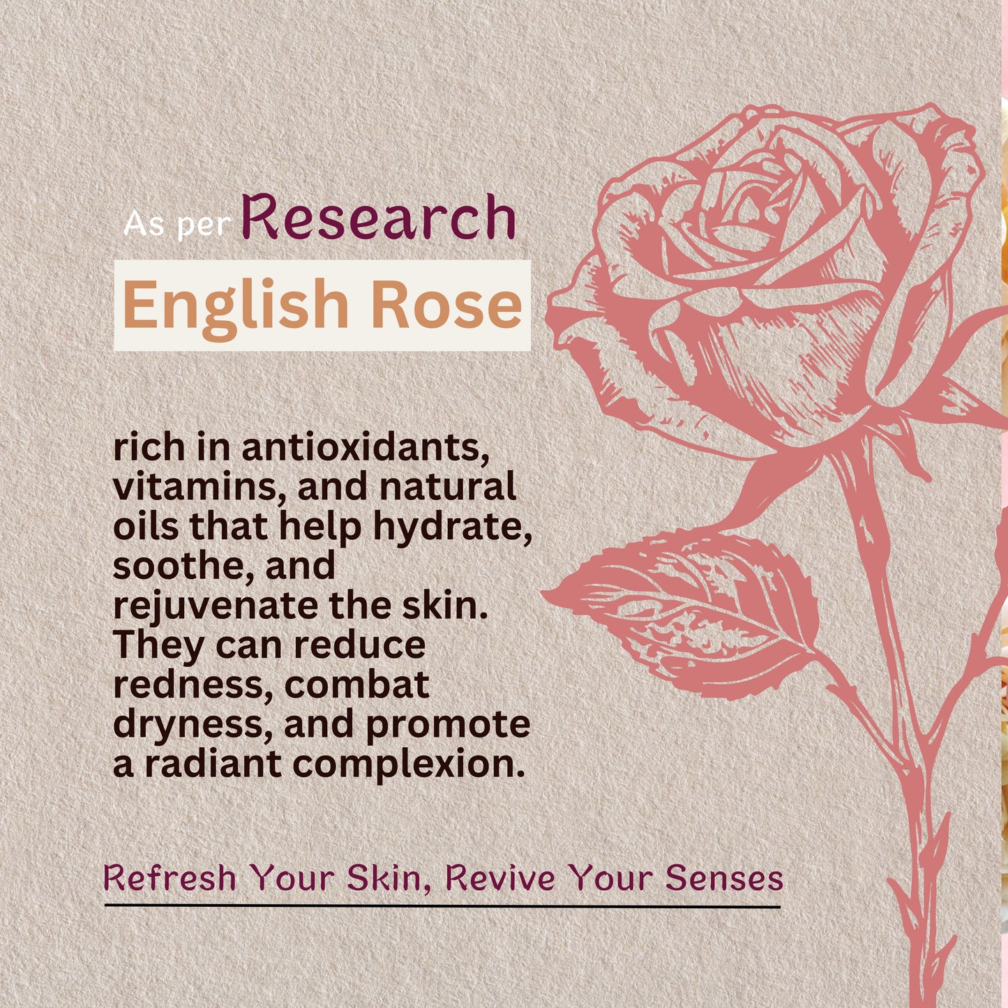 Natural English Rose & Almond Milk Body Wash